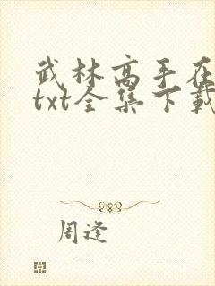 武林高手在异世txt全集下载