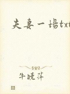夫妻一场txt