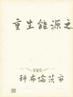 重生能源之王