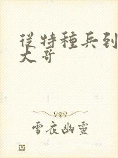 从特种兵到黑道大哥