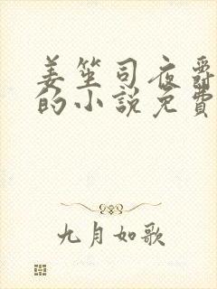 姜笙司夜爵顾念的小说免费阅读