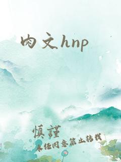 肉文hnp