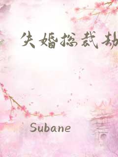 失婚总裁劫前妻