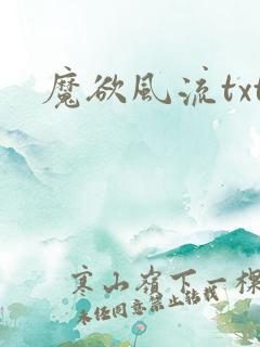 魔欲风流txt