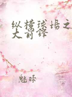 纵横球场之暴力大前锋