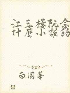 江玉楼阮念笙是什么小说的名字