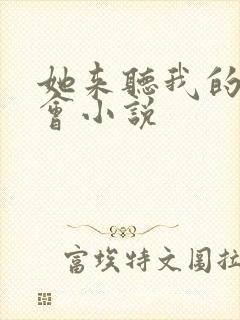 她来听我的演唱会小说