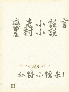 恋老小说言情网农村小说