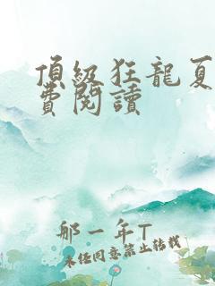 顶级狂龙夏天免费阅读