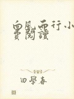 向风而行小说免费阅读