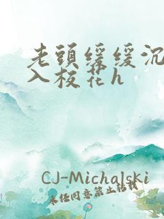 老头缓缓沉腰进入校花h