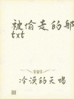 被偷走的那五年txt