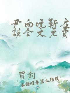 尹向晚靳夜擎小说全文免费阅读无弹窗