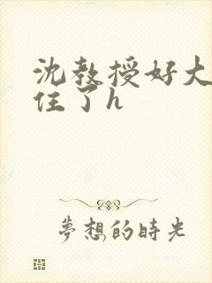 沈教授好大含不住了h