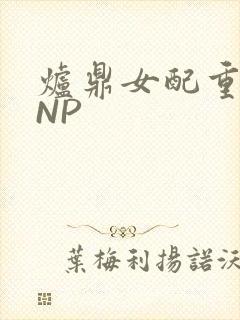 炉鼎女配重生之NP