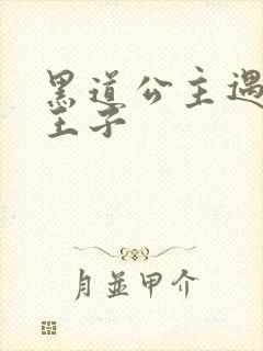 黑道公主遇冷酷王子