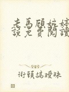 老马顾婉婷的小说免费阅读