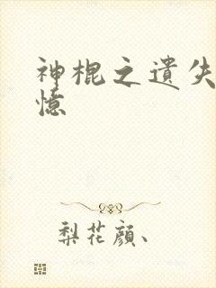 神棍之遗失的记忆