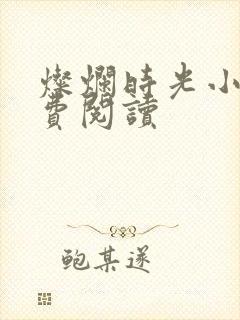 灿烂时光小说免费阅读