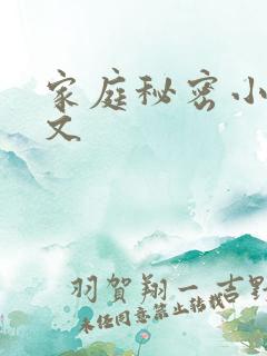 家庭秘密小说全文