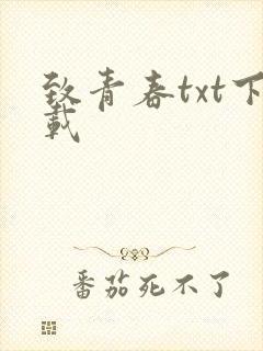 致青春txt下载