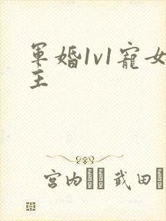 军婚1v1宠女主