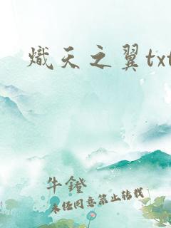 炽天之翼txt