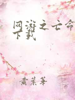 网游之亡命天涯下载