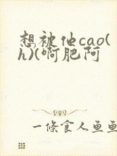 想被他cao(h)(啊肥阿