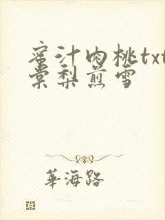 蜜汁肉桃txt棠梨煎雪