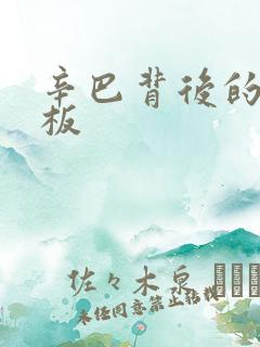 辛巴背后的人老板