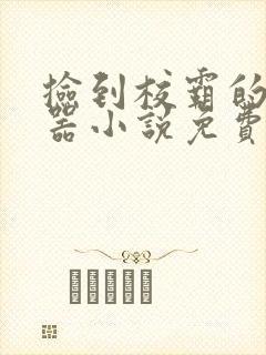 捡到校霸的遥控器小说免费阅读无弹窗