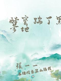 酷宝 踹了黑道爹地