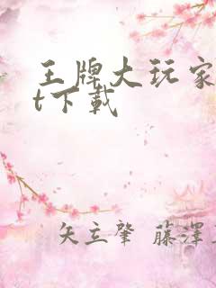 王牌大玩家txt下载