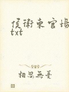 侯卫东官场笔记txt