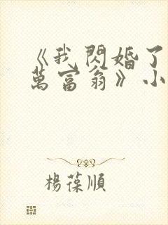 《我闪婚了个亿万富翁》小说