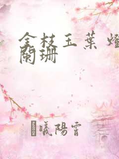 金枝玉叶 灯火阑珊