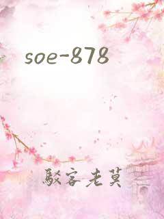 soe-878