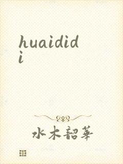 huaididi