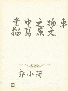 掌中之物车里震描写原文