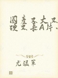 国产又大又粗又硬又长A片小说