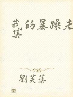 我的暴躁老妈全集