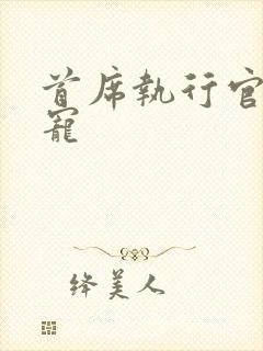 首席执行官的绝宠