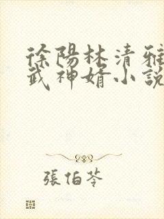 徐阳林清雅绝世武神婿小说