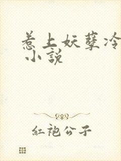 惹上妖孽冷殿下 小说