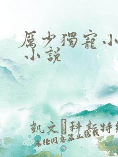 厉少独宠小娇妻 小说