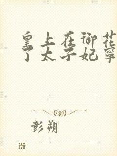 皇上在御花园C了太子妃宁儿