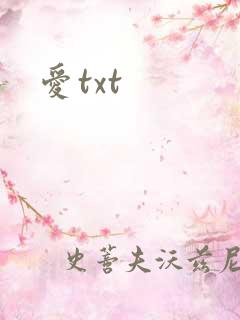 爱txt