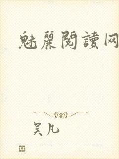魅丽阅读网