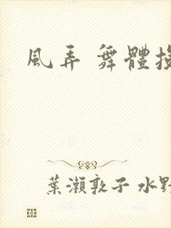 风弄 舞体投递